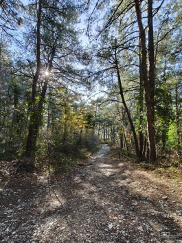 Обзор OnePlus 15R: почти флагман по цене смартфона среднего класса