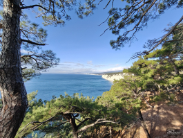 Обзор OnePlus 15R: почти флагман по цене смартфона среднего класса