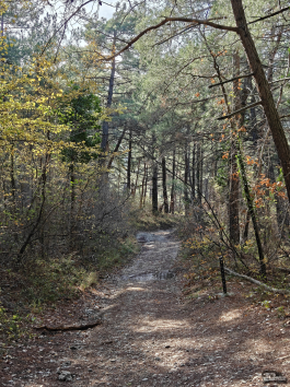 Обзор OnePlus 15R: почти флагман по цене смартфона среднего класса