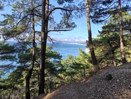 Обзор OnePlus 15R: почти флагман по цене смартфона среднего класса