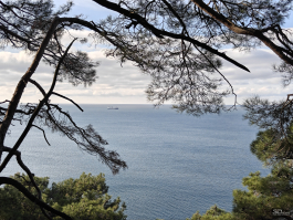 Обзор OnePlus 15R: почти флагман по цене смартфона среднего класса