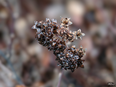 Обзор смартфона IQOO 15: время, вперед