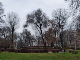 Обзор смартфона IQOO 15: время, вперед