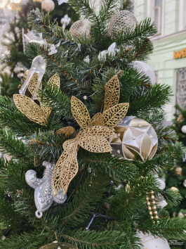 Обзор смартфона IQOO 15: время, вперед