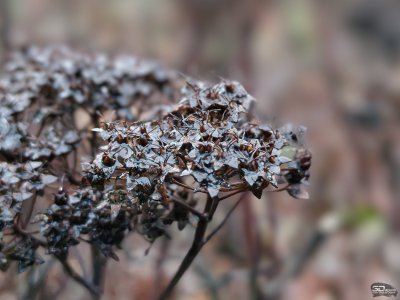 Обзор смартфона IQOO 15: время, вперед