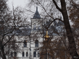 Обзор смартфона IQOO 15: время, вперед