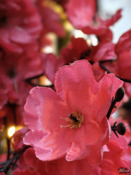 Обзор смартфона IQOO 15: время, вперед