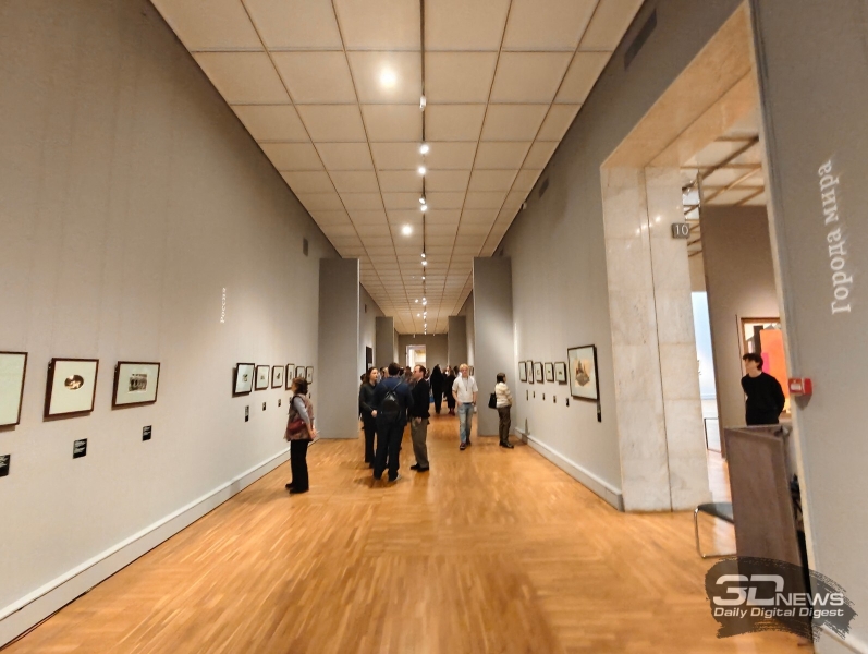 Одна видеокарта в руки: в Японии начали ограничивать продажи GeForce RTX 5000 и Radeon RX 9000 из-за дефицита памяти