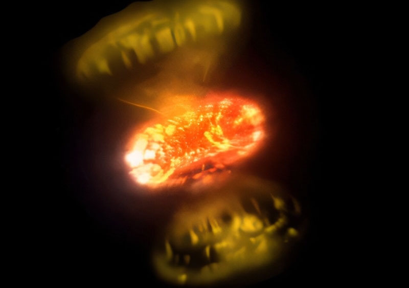 Получены первые прямые снимки термоядерных взрывов на белых карликах — детали интригуют