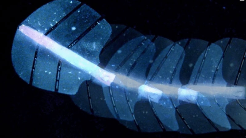 Швейцарские учёные создали мягкого робота с искусственными мышцами из пузырьков воздуха