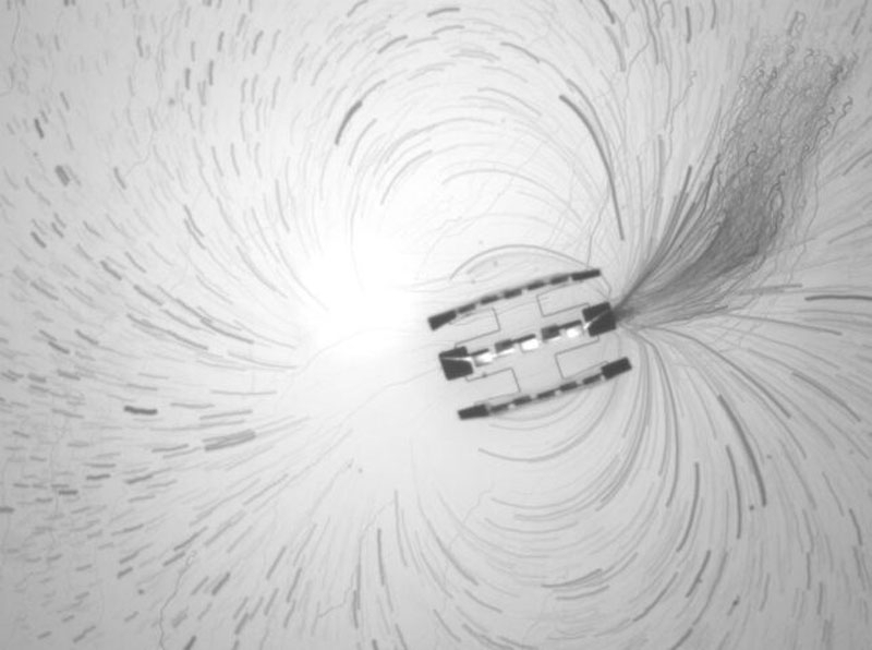 Учёные в 10 000 раз уменьшили самого маленького робота с &laquo;мозгами&raquo; &mdash; теперь он размером с крупинку соли