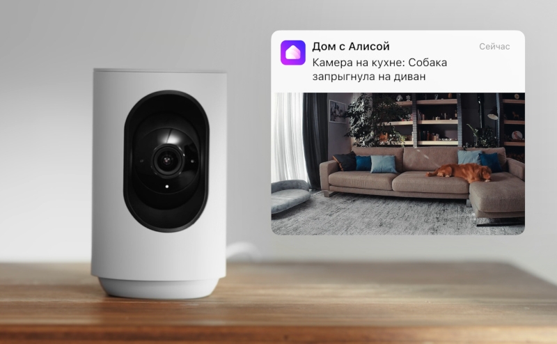 «В кадре появился кот»: умная IP-камера «Яндекса» научилась рассказывать о том, что видит