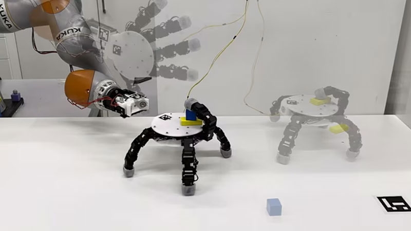 Как в «Семейке Аддамс»: ученые создали робота-кисть руки, которая умеет ползать и хватать предметы в недоступных местах