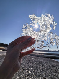 Обзор HUAWEI Mate X7: самый прочный складной смартфон