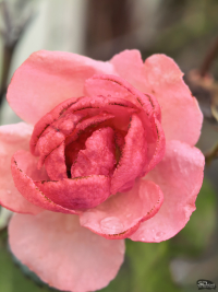 Обзор HUAWEI Mate X7: самый прочный складной смартфон