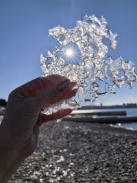 Обзор HUAWEI Mate X7: самый прочный складной смартфон