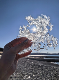 Обзор HUAWEI Mate X7: самый прочный складной смартфон