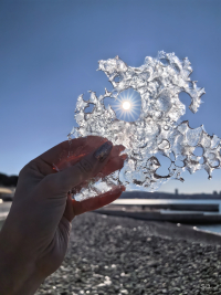 Обзор HUAWEI Mate X7: самый прочный складной смартфон