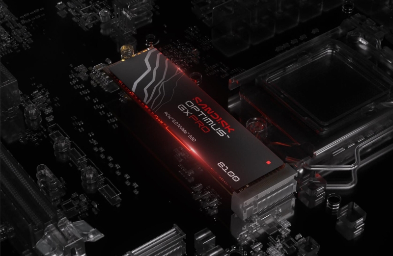 Sandisk похоронила марки WD_Black и WD Blue&nbsp;&mdash; теперь её SSD будут называться Optimus