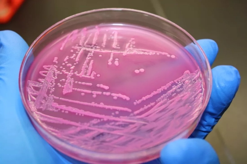 Учёные нашли альтернативную эволюцию&nbsp;&mdash; в космосе бактерии и вирусы развиваются иначе