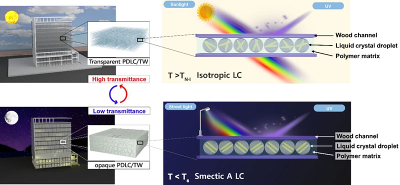 В Южной Корее создали прозрачную древесину для умных окон
