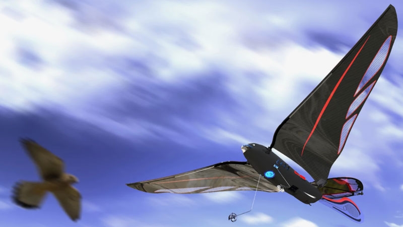 Инженер создал 10-граммовую робо-птицу, которая разгоняется до 31 км/ч и управляется со смартфона