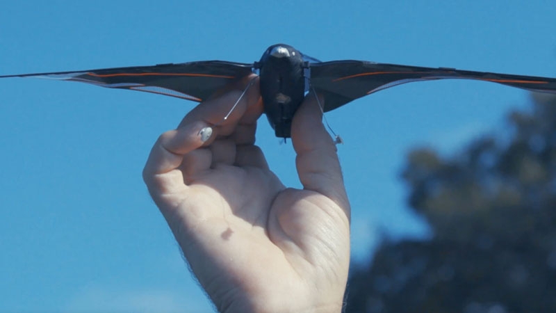 Инженер создал 10-граммовую робо-птицу, которая разгоняется до 31 км/ч и управляется со смартфона