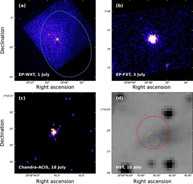 Неуловимая чёрная дыра промежуточной массы выдала себя, в клочья разорвав белого карлика