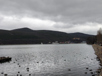 Обзор HONOR X8d: тонкий, но очень автономный смартфон с мощным ИИ