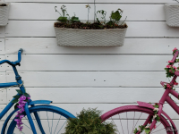 Обзор HONOR X8d: тонкий, но очень автономный смартфон с мощным ИИ