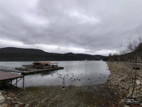 Обзор HONOR X8d: тонкий, но очень автономный смартфон с мощным ИИ