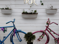 Обзор HONOR X8d: тонкий, но очень автономный смартфон с мощным ИИ