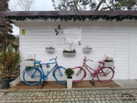 Обзор HONOR X8d: тонкий, но очень автономный смартфон с мощным ИИ