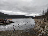 Обзор HONOR X8d: тонкий, но очень автономный смартфон с мощным ИИ