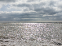 Обзор складного смартфона Google Pixel 10 Pro Fold, который не боится пыли