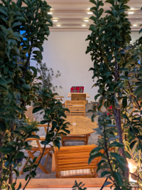 Обзор складного смартфона Google Pixel 10 Pro Fold, который не боится пыли