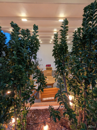 Обзор складного смартфона Google Pixel 10 Pro Fold, который не боится пыли