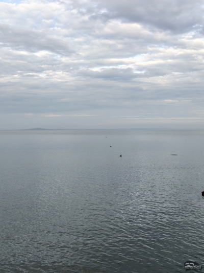 Обзор смартфона HONOR Magic 8 Pro: немного лучше во всем