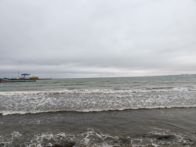 Обзор смартфона HONOR Magic 8 Pro: немного лучше во всем