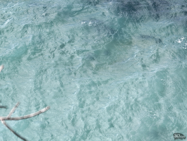 Обзор смартфона HONOR Magic 8 Pro: немного лучше во всем