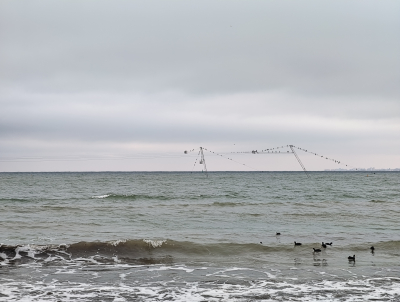 Обзор смартфона HONOR Magic 8 Pro: немного лучше во всем