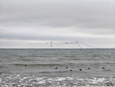 Обзор смартфона HONOR Magic 8 Pro: немного лучше во всем