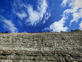 Обзор смартфона HONOR Magic 8 Pro: немного лучше во всем