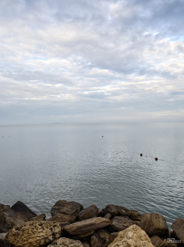 Обзор смартфона HONOR Magic 8 Pro: немного лучше во всем