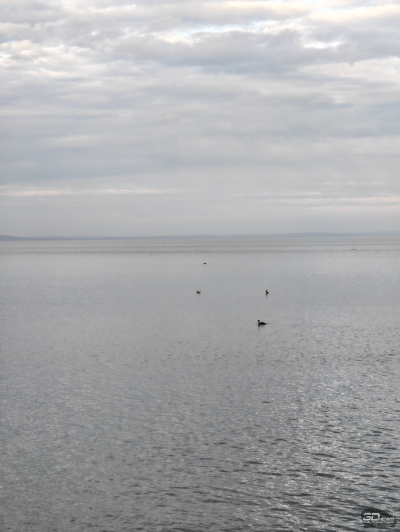 Обзор смартфона HONOR Magic 8 Pro: немного лучше во всем