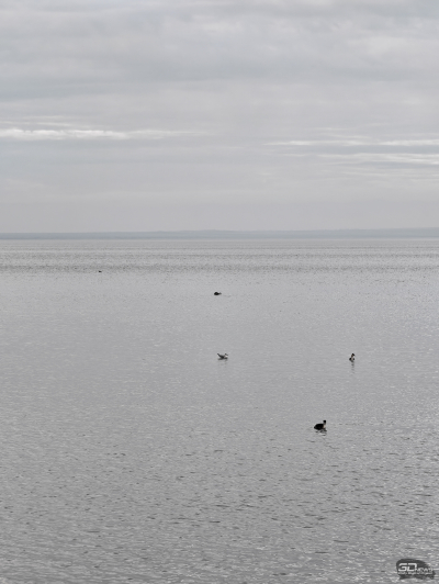 Обзор смартфона HONOR Magic 8 Pro: немного лучше во всем