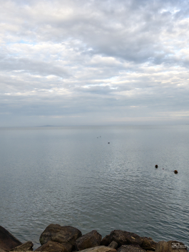 Обзор смартфона HONOR Magic 8 Pro: немного лучше во всем