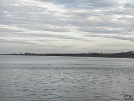 Обзор смартфона HONOR Magic 8 Pro: немного лучше во всем