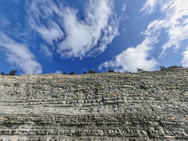 Обзор смартфона HONOR Magic 8 Pro: немного лучше во всем