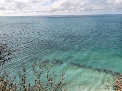 Обзор смартфона HONOR Magic 8 Pro: немного лучше во всем